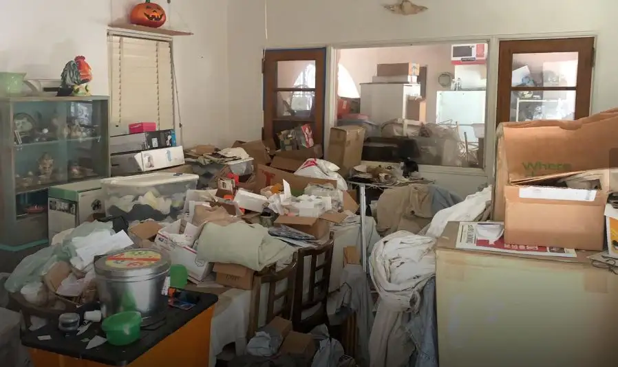 Same Day Junk and Debris Removal Service