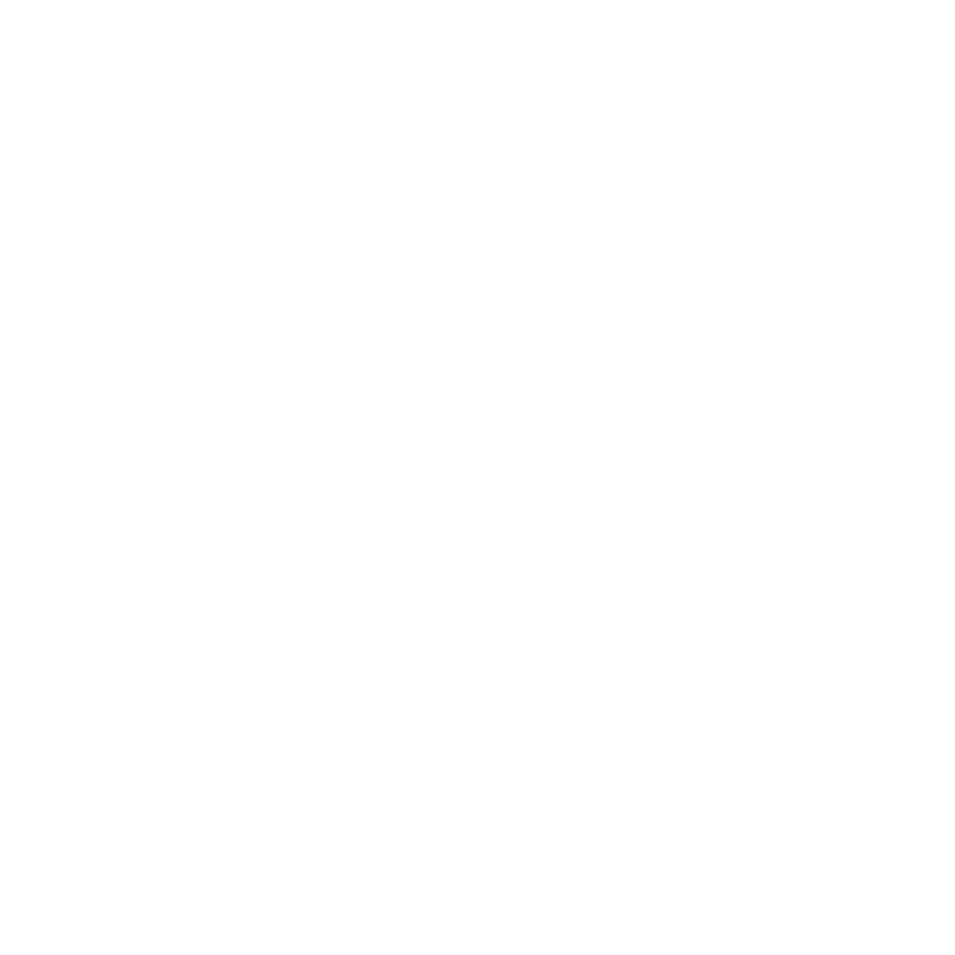 Same Day Junk Removal Service