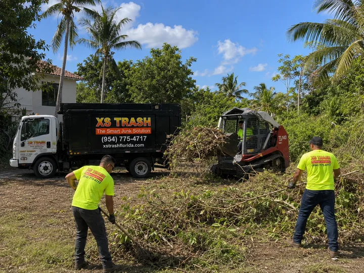 Brush clearing and vegetation removal by XS Trash in South Florida