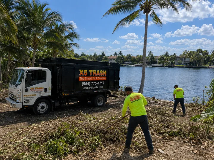 Waterfront land clearing and vegetation removal in South Florida