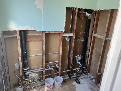 bathroom and kitchen tear-outs