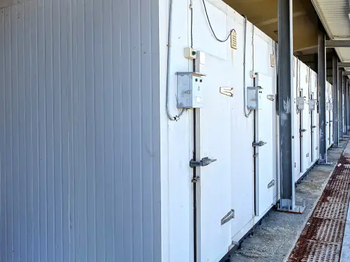 Commercial large appliance pickup with organized loading