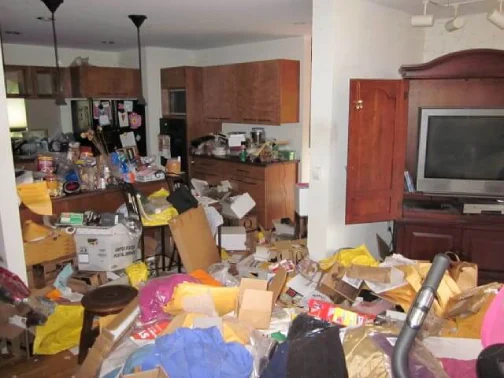 hoarder property cleanout
