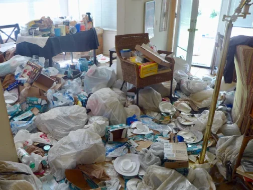 hoarder cleanout site
