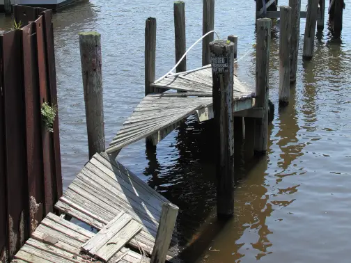 hurricane storm debris removal