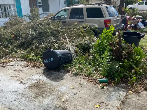 brush and tree removal