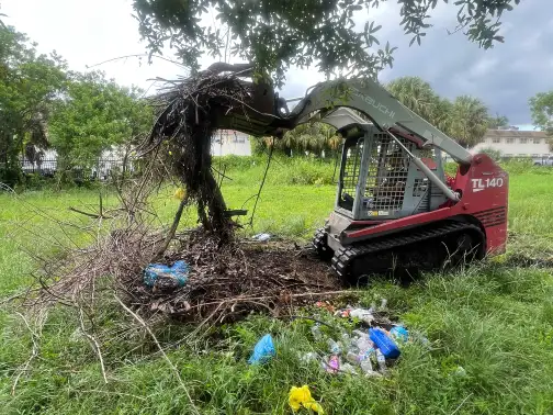 Brush and vegetation removal service to clear dense growth and restore usable space