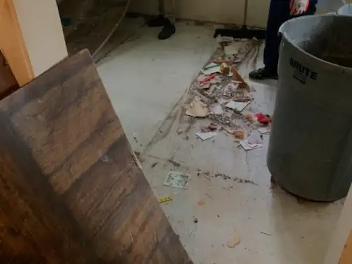 bathroom and kitchen tear-outs