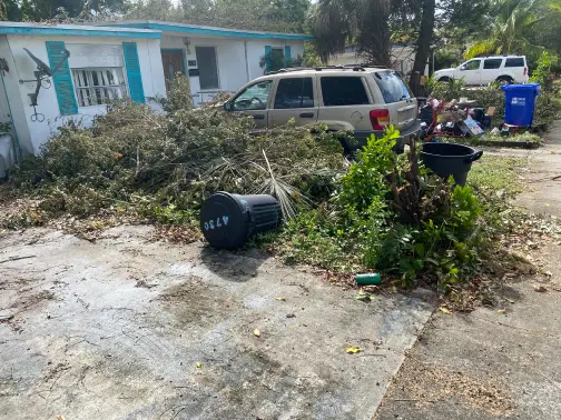 hurricane storm debris removal