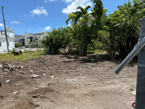 Site preparation clearing service for job sites and build-ready planning