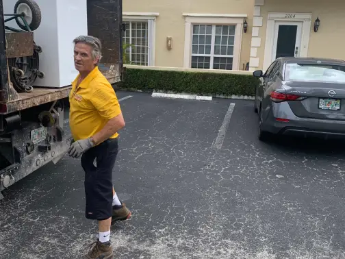 fence shed tear outs