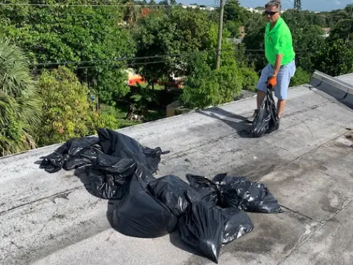 hurricane storm debris removal