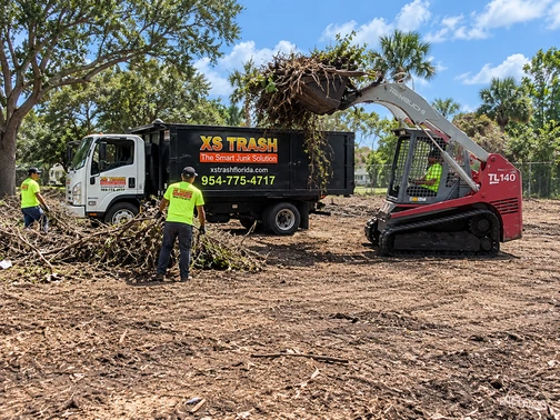 lot clearing