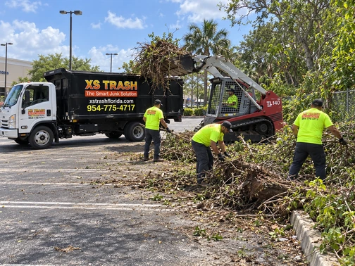 lot clearing