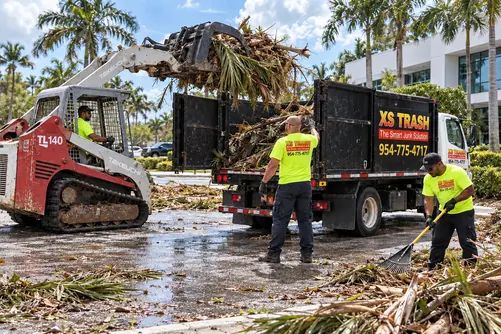 storm debris cleanup