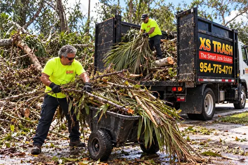 storm debris cleanup
