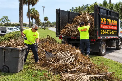 yard debris cleanout