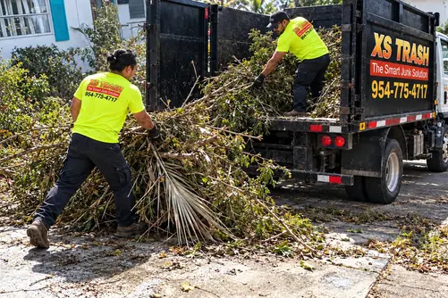 yard debris cleanout