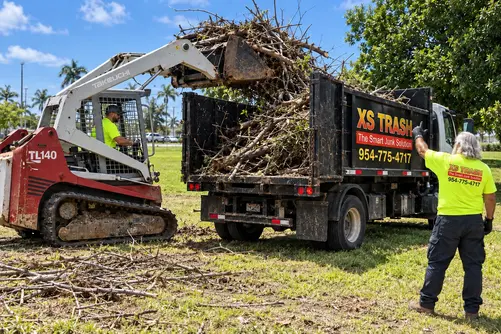 yard debris cleanout